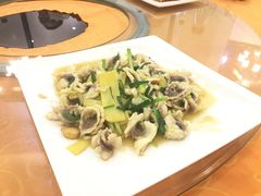 姜葱炒皖鱼片-焯明脆肉鲩世家(金沙洲店)
