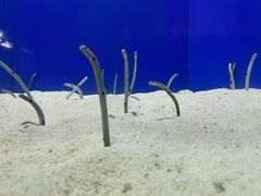 -上海海洋水族馆