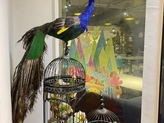 -觅山云南菜(泊富ICITY店)