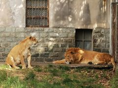 -西安秦岭野生动物园