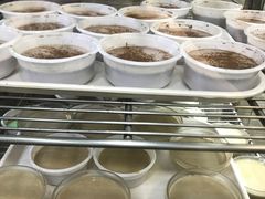 -义顺牛奶公司(庇利金街店)