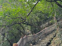 -广州白江湖森林公园