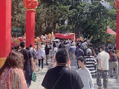 -西双版纳原始森林公园