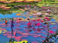 -国家植物园南园