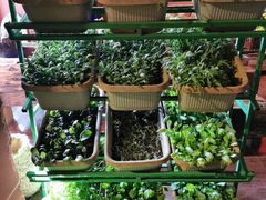 -大匠工房古船木艺术餐厅·猪肚鸡专门店(长白仙岛店)