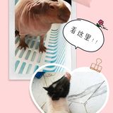 看这里，杭州儿童必来的宠物乐园