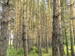-北极村旅游风景区
