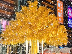 -友谊阳光城(金贸街道店)