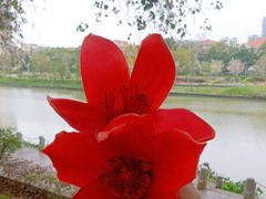 -怡海公园(桂城街道)