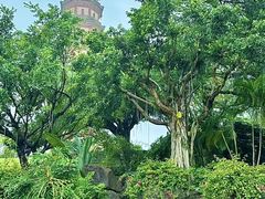 -广州莲花山旅游区