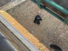 -合肥野生动物园