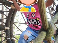 -合肥滨湖国家森林公园