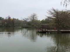 -海珠湖公园