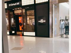 -COACH蔻驰(恒隆广场店)