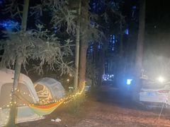 -重庆睡佛山森林公园