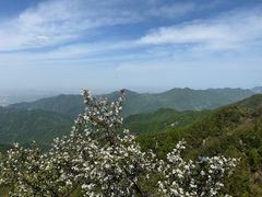 -西安祥峪森林公园
