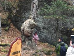 -汤旺河林海奇石景区