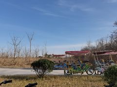 -盐城丹顶鹤湿地生态旅游区