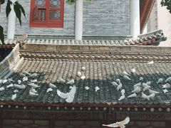 -西安大兴善寺