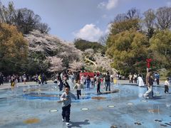 -杭州少年儿童公园