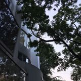 屯儿里之地摊儿 走起