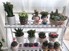 -秦美花卉(天朗·莱茵小城2期店)