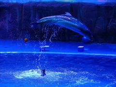 -华夏文旅海洋公园