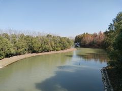 -上海海湾国家森林公园