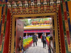 -罗布林卡