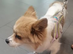 -联合动物医院(光谷诊疗中心)