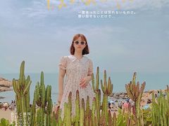-广东惠东海龟国家级自然保护区