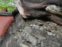 -北京上方山国家森林公园