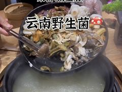 -一朵菌·野生菌探索家火锅(南亚店)
