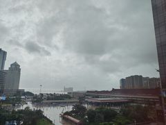 -金苑海鲜酒家(来魅力店)