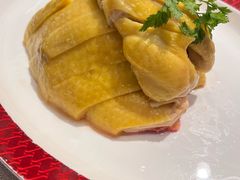 -圆苑(静安寺店)