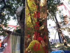 -马文章胖子甑糕(洒金桥店)