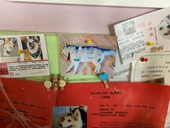 -Husky Go! 哈士奇体验馆·宠物咖啡厅狗咖