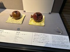 -东京国立博物馆