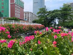 -东风公园