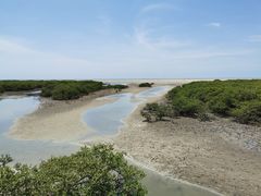 -北海金海湾红树林生态旅游区