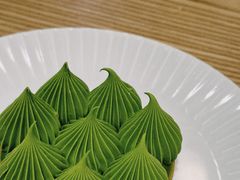-猫里有甜