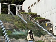 -九龙公园