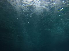-苏州海洋馆