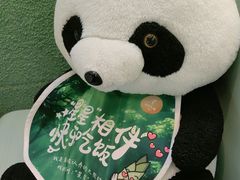 -眉州东坡·熊猫主题餐厅(枫蓝店)