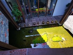 -几荷·恰似故人来(秀水广场店)