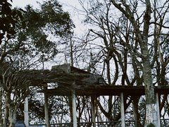 -岳麓山风景名胜区