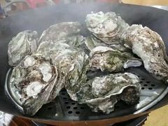 -蚝专家(北滘店)