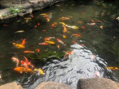-青青世界