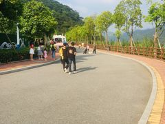 -羚羊峡古栈道森林公园