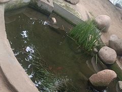 -南通洲际绿博园